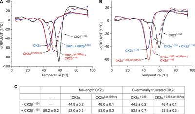 Structural and Enzymological Evidence for an Altered Substrate Specificity in Okur-Chung Neurodevelopmental Syndrome Mutant CK2αLys198Arg